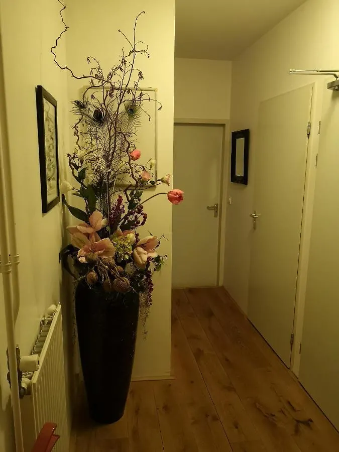 Achterhuis 2 Apartman Maastricht